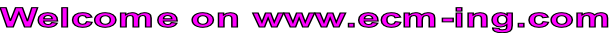 Welcome on www.ecm-ing.com