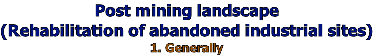 wp0c56d429.png