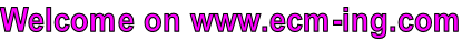 Welcome on www.ecm-ing.com