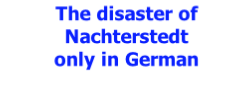 The disaster of Nachterstedt  only in German