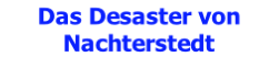 Das Desaster von Nachterstedt