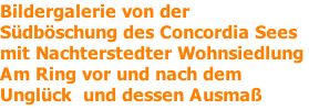 Bildergalerie von der Südböschung des Concordia Sees mit Nachterstedter Wohnsiedlung Am Ring vor und nach dem Unglück  und dessen Ausmaß